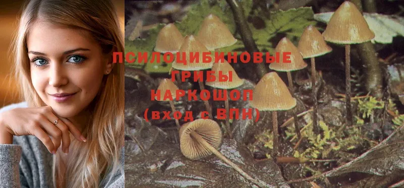 blacksprut ССЫЛКА  Макушино  Галлюциногенные грибы MAGIC MUSHROOMS  закладка 